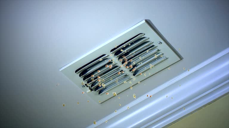 Best Affordable HVAC Duct Cleaning  in North Belle Vernon, PA